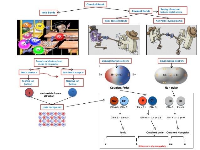 Ib Chemistry On Polarity Hydrogen Bonding And Van Der Waals - 
