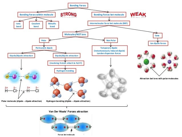 ib chemistry on polarity hydrogen bonding and van der waals forces 5 638