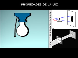 LA LUZ SE PROPAGA EN LINEA RECTA PROPIEDADES DE LA LUZ 