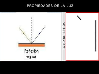 LA LUZ SE REFLEJA PROPIEDADES DE LA LUZ 