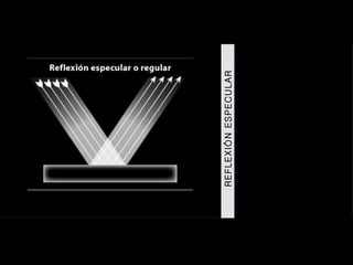 REFLEXIÓN ESPECULAR 