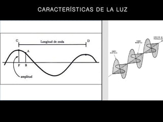 CARACTERÍSTICAS DE LA LUZ 