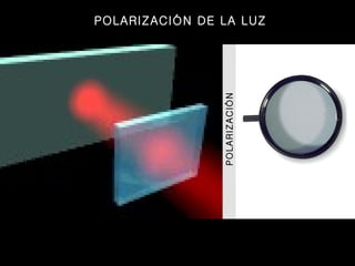 POLARIZACIÓN POLARIZACIÓN DE LA LUZ 