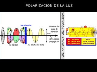 LUZ NATURAL Y LUZ POLARIZADA  POLARIZACIÓN DE LA LUZ 