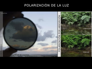POLARIZACIÓN POR ABSORCIÓN SELECTIVA FILTRO POLARIZADOR POLARIZACIÓN DE LA LUZ 