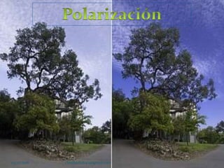 03/07/2018 claudiavital1401@gmail.com
 