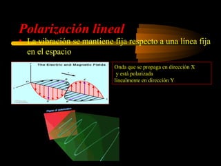 Polarización lineal
• La vibración se mantiene fija respecto a una línea fija
  en el espacio
                            Onda que se propaga en dirección X
                             y está polarizada
                            linealmente en dirección Y

                                    
                                    E = E0 sen( wt − kx) ˆj
                                    
                                                         ˆ
                                    B = B0 sen( wt − kx) k
 