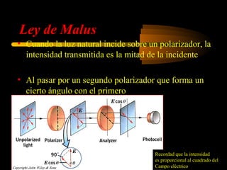 Ley de Malus
• Cuando la luz natural incide sobre un polarizador, la
  intensidad transmitida es la mitad de la incidente
                I0
         I1 =
                     2
• Al pasar por un segundo polarizador que forma un
  cierto ángulo con el primero

                                             I 2 = I1 cos θ          2




                                       Recordad que la intensidad
                                       es proporcional al cuadrado del
                                       Campo eléctrico
 