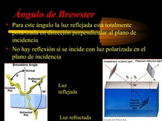 n2
                                          tgθ =
   Ángulo de Brewster                        B
                                                n1
• Para este ángulo la luz reflejada está totalmente
  polarizada en dirección perpendicular al plano de
  incidencia
• No hay reflexión si se incide con luz polarizada en el
  plano de incidencia
                   '     n1 −n2 
                           2   2
                   E⊥ = 2        E⊥
                          n1 +n2
                               2

                   '
                   E || =0

                    Luz
                    reflejada n
                           2  2     
                    E⊥ = 2
                      r        1
                                     E⊥
                           n1 + 2 n2
                          n 
                    E ||r = 1 E||
                           n2

                     Luz refractada
 