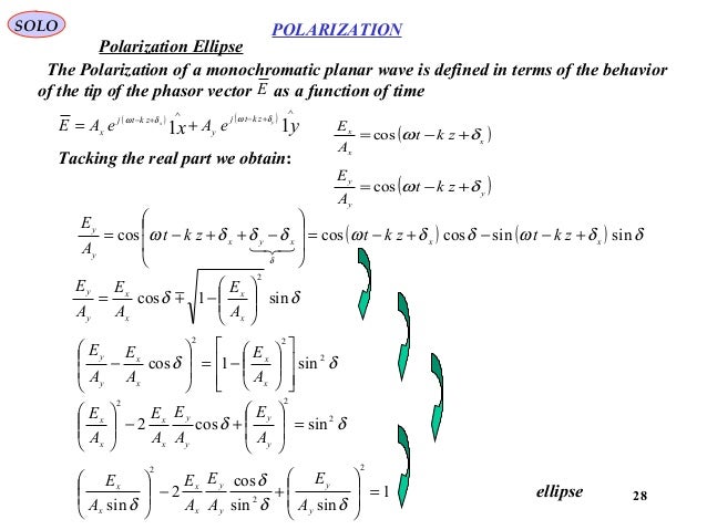 Polarization