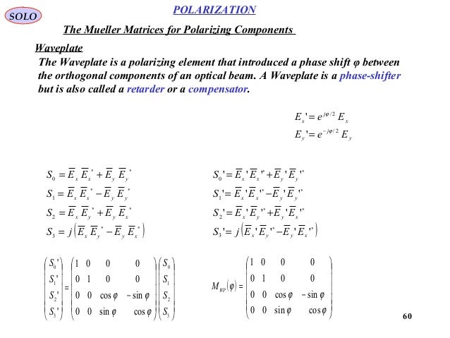 Polarization