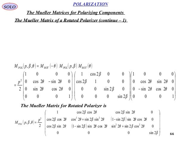 Polarization