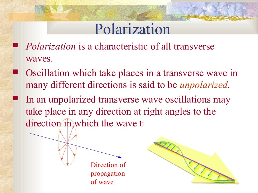 Polarization