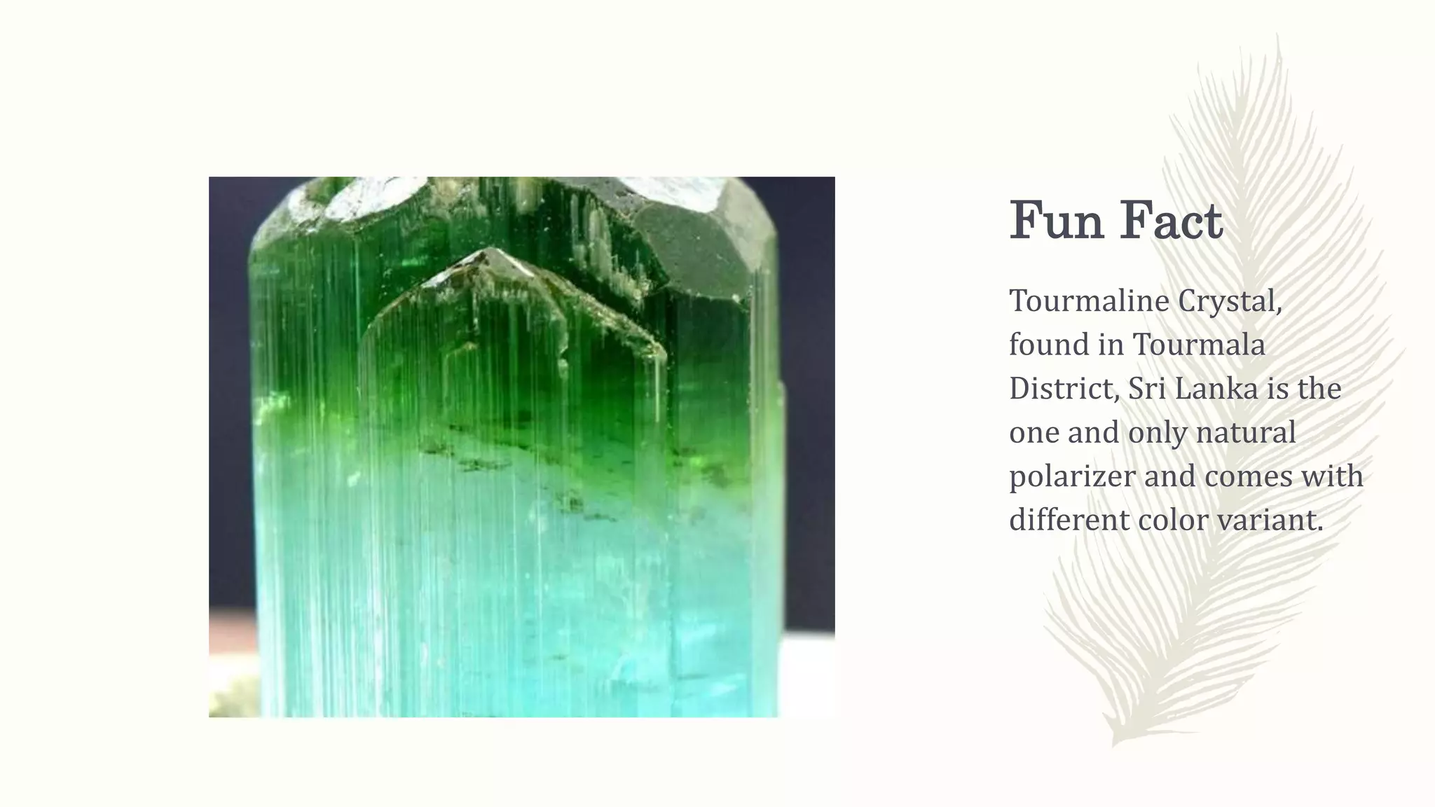 Fun Fact
Tourmaline Crystal,
found in Tourmala
District, Sri Lanka is the
one and only natural
polarizer and comes with
different color variant.
 