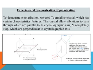 Light POLARIZATION and application n LCD | PPT