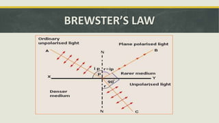 BREWSTER’S LAW
 