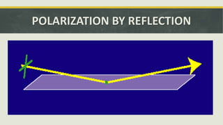 POLARIZATION BY REFLECTION
 