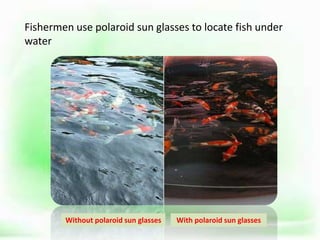 Fishermen use polaroid sun glasses to locate fish under
water
.
Without polaroid sun glasses With polaroid sun glasses
 