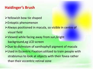 Haidinger’s Brush
Yellowish bow tie shaped
Entoptic phenomenon
Always positioned in macula, so visible in centre of
visual field
Viewed while facing away from sun,bright
background,eg LCD screen
Due to dichroism of xanthophyll pigment of macula
Used in Eccentric Fixation:utilized to train people with
strabismus to look at objects with their fovea rather
than their eccentric retinal zone
 