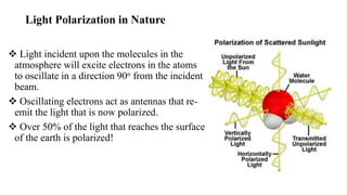 Light Polarization in Nature
 Light incident upon the molecules in the
atmosphere will excite electrons in the atoms
to oscillate in a direction 90o from the incident
beam.
 Oscillating electrons act as antennas that re-
emit the light that is now polarized.
 Over 50% of the light that reaches the surface
of the earth is polarized!
 
