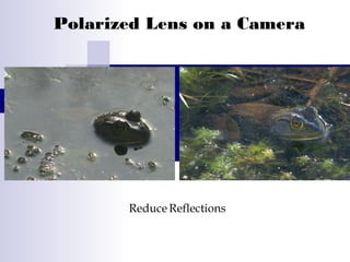 Polarized Lens on a Camera
ReduceReflections
 