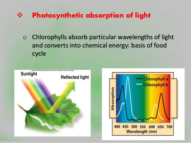 absorb o &absorption Polarization, scattering light of