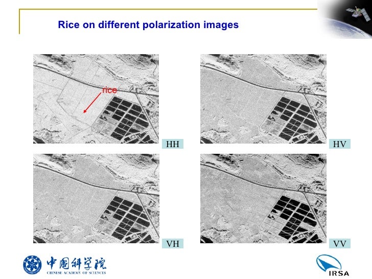 Polarization Signature Analysis Of Paddy Rice In Southern China polarization-signature-analysis-of-paddy-rice-in-southern-china
