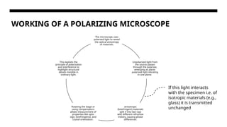 Polarized Microscope Function Comprehensive Overview of Polarizing and Phase Contrast Microscopes in ...
