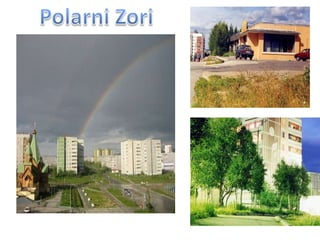 Polarni Zori