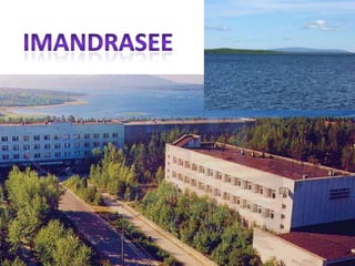 imandraSEe