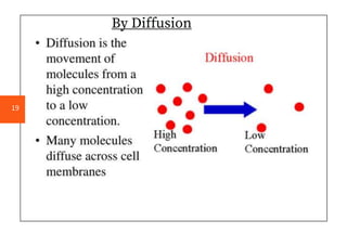 By Diffusion
19
 