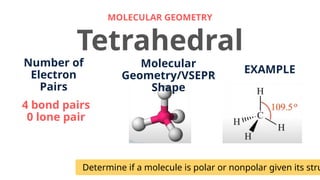 EXPLORING POLARITY OF MOLECULES AND ITS PROPERTIES | PPTX