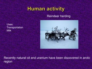 Reindeer herding
Uses:
Transportation
Milk
Recently natural oil and uranium have been discovered in arctic
region
 