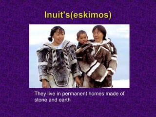 They live in permanent homes made of
stone and earth
 