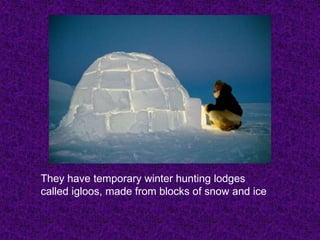 They have temporary winter hunting lodges
called igloos, made from blocks of snow and ice
 