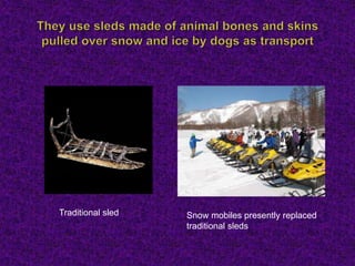 Traditional sled Snow mobiles presently replaced
traditional sleds
 