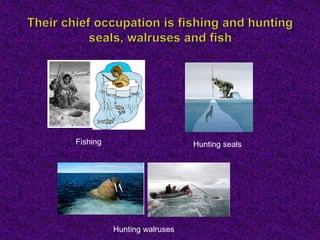 Fishing Hunting seals
Hunting walruses
 