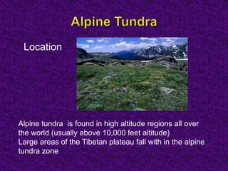 Location
Alpine tundra is found in high altitude regions all over
the world (usually above 10,000 feet altitude)
Large areas of the Tibetan plateau fall with in the alpine
tundra zone
 