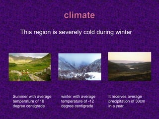 This region is severely cold during winter
Summer with average
temperature of 10
degree centigrade
winter with average
temperature of -12
degree centigrade
It receives average
precipitation of 30cm
in a year.
 