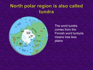 The word tundra
comes from the
Finnish word tunturia
means tree less
plains
 