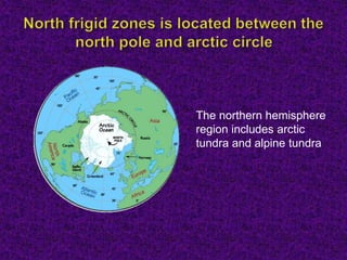 The northern hemisphere
region includes arctic
tundra and alpine tundra
 