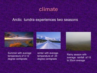 Arctic tundra experiences two seasons
Summer with average
temperature of 3-12
degree centigrade
winter with average
temperature of -34
degree centigrade
Rainy season with
average rainfall of 15
to 20cm average
 