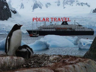 Polar travel
 