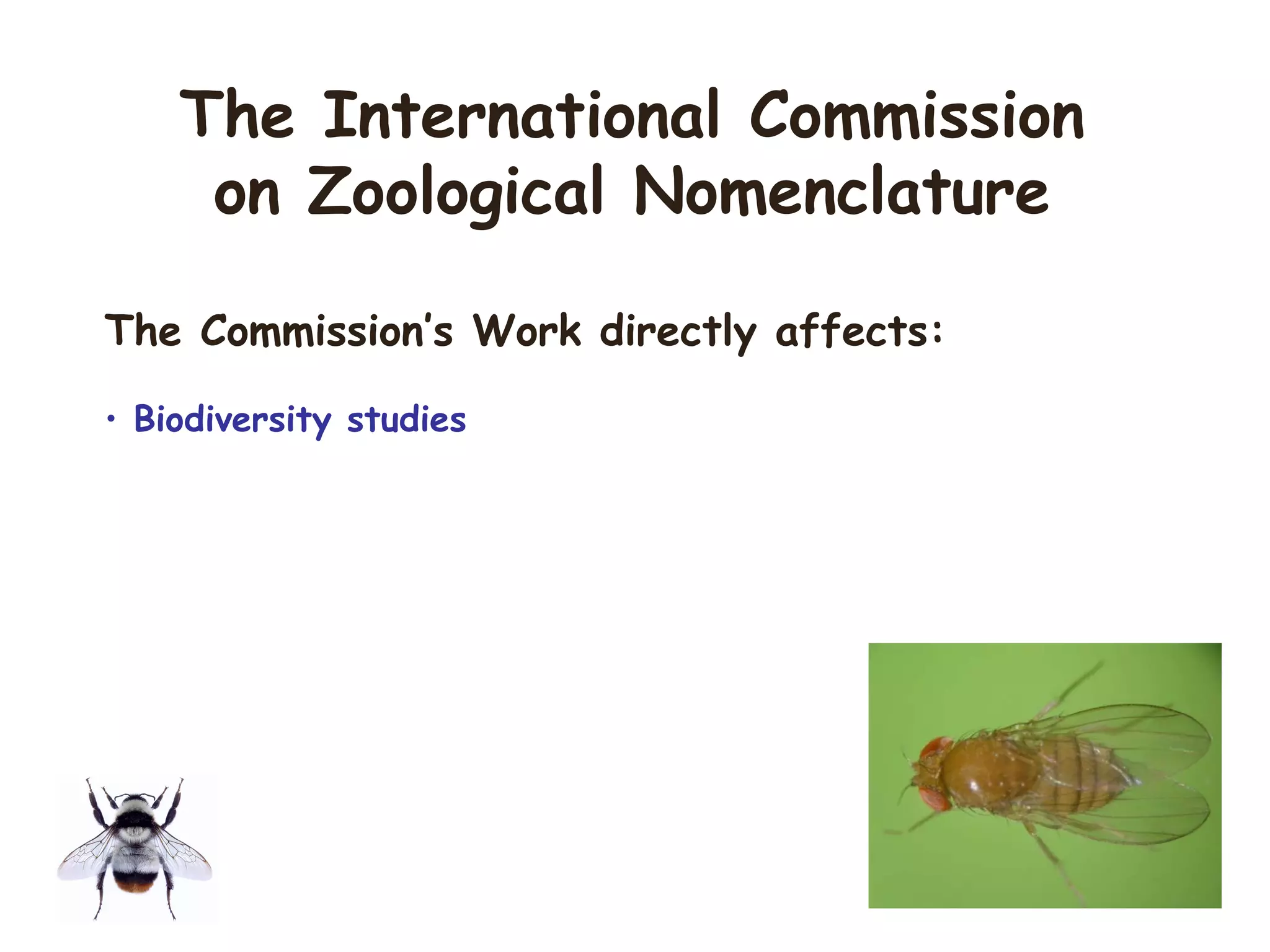 The Commission’s Work directly affects:
• Biodiversity studies
The International Commission
on Zoological Nomenclature
 