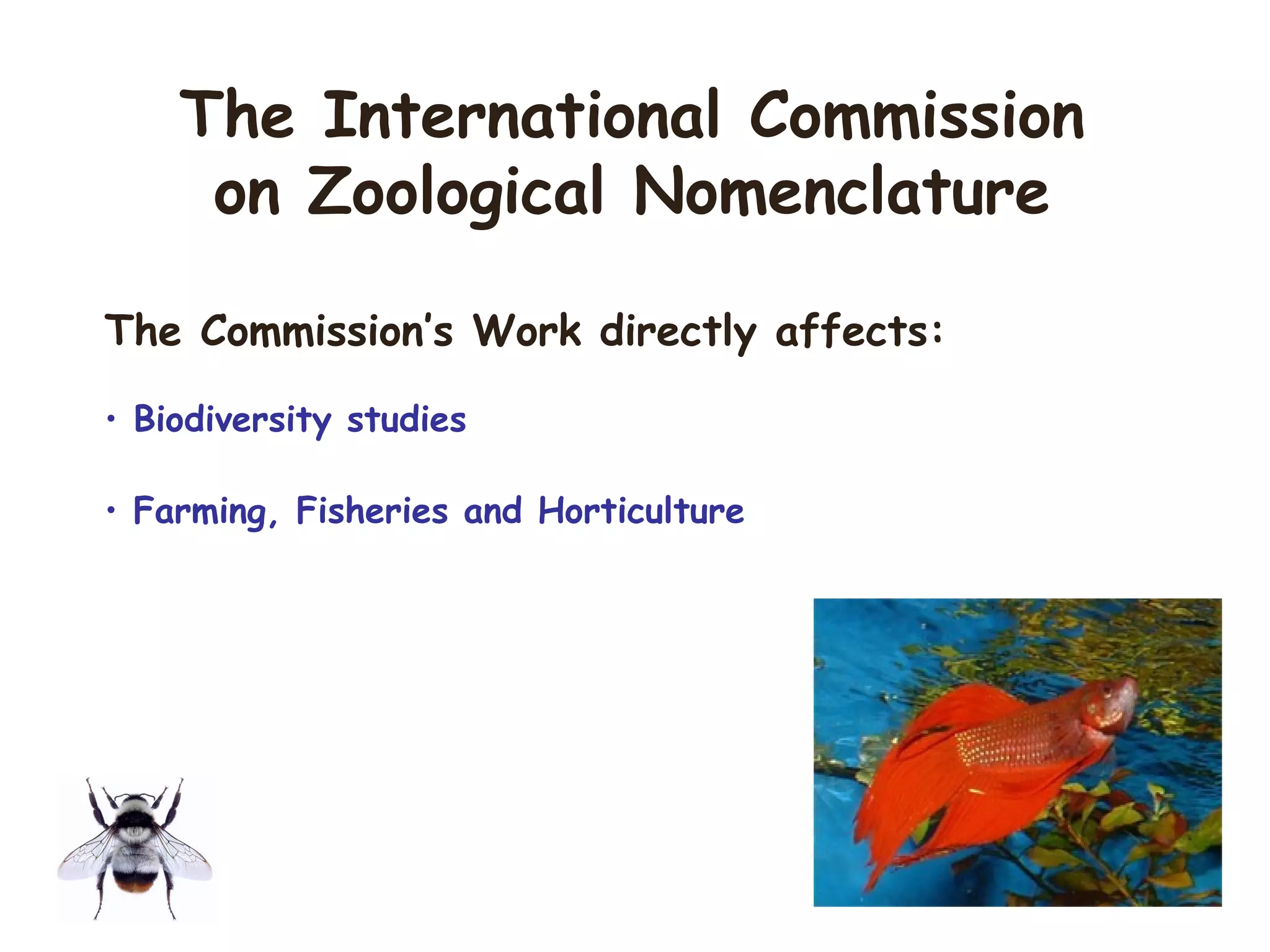 The Commission’s Work directly affects:
• Biodiversity studies
• Farming, Fisheries and Horticulture
The International Commission
on Zoological Nomenclature
 