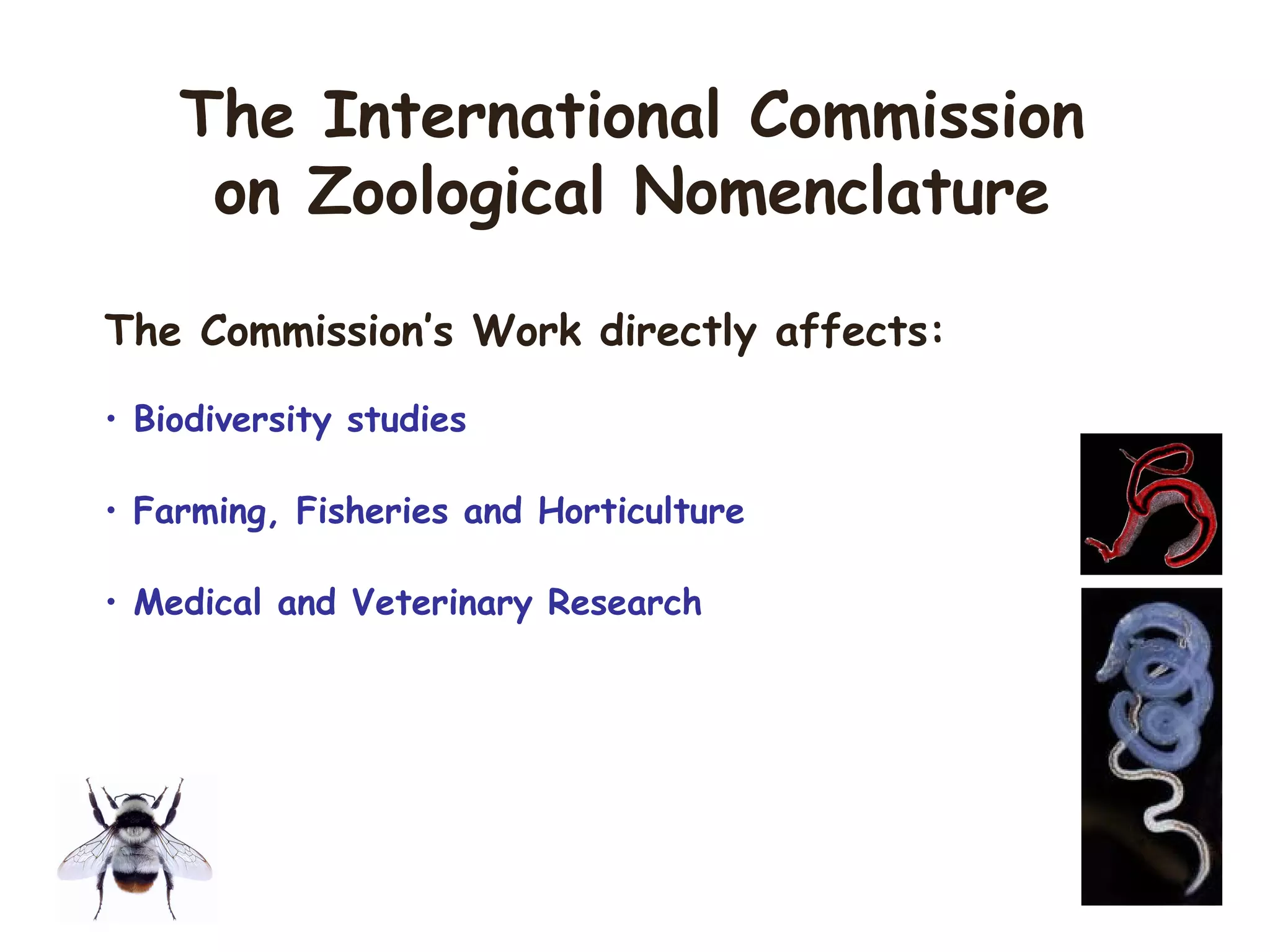 The Commission’s Work directly affects:
• Biodiversity studies
• Farming, Fisheries and Horticulture
• Medical and Veterinary Research
The International Commission
on Zoological Nomenclature
 