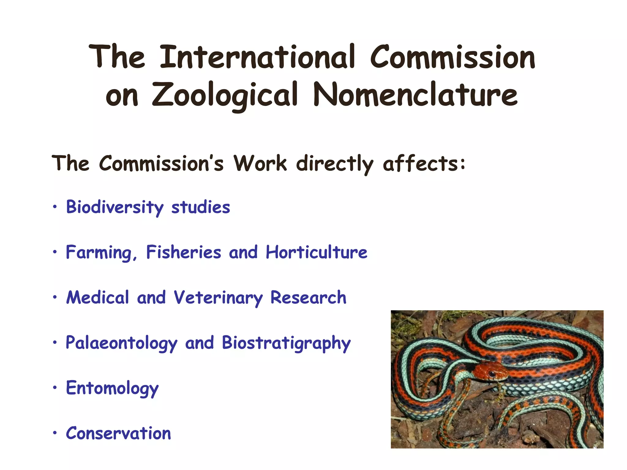 The Commission’s Work directly affects:
• Biodiversity studies
• Farming, Fisheries and Horticulture
• Medical and Veterinary Research
• Palaeontology and Biostratigraphy
• Entomology
• Conservation
The International Commission
on Zoological Nomenclature
 