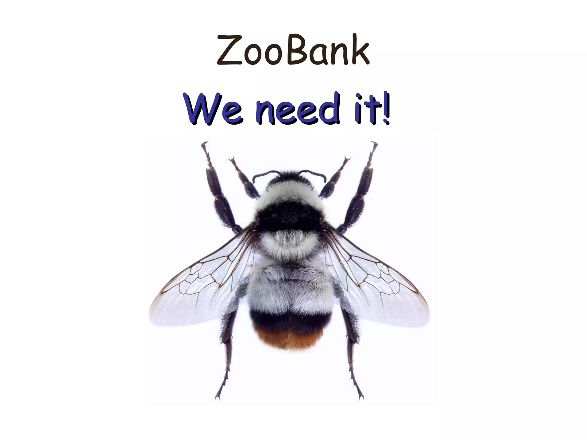 ZooBank
We need it!We need it!
 