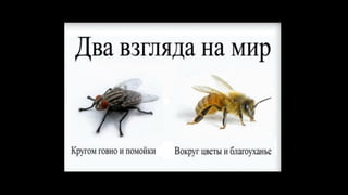 "Подготовка к аудиту инвестора" Никита Полатайко