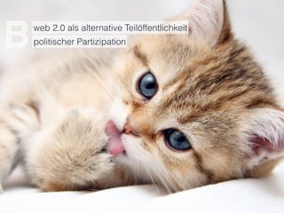 web 2.0 als alternative Teilöffentlichkeit 
politischer Partizipation B 
 